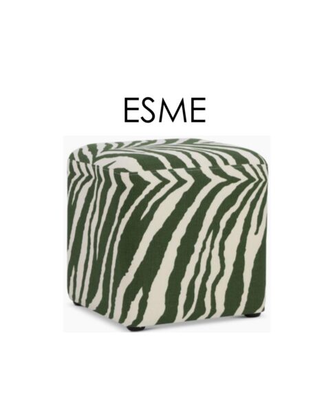 RAHI ESME